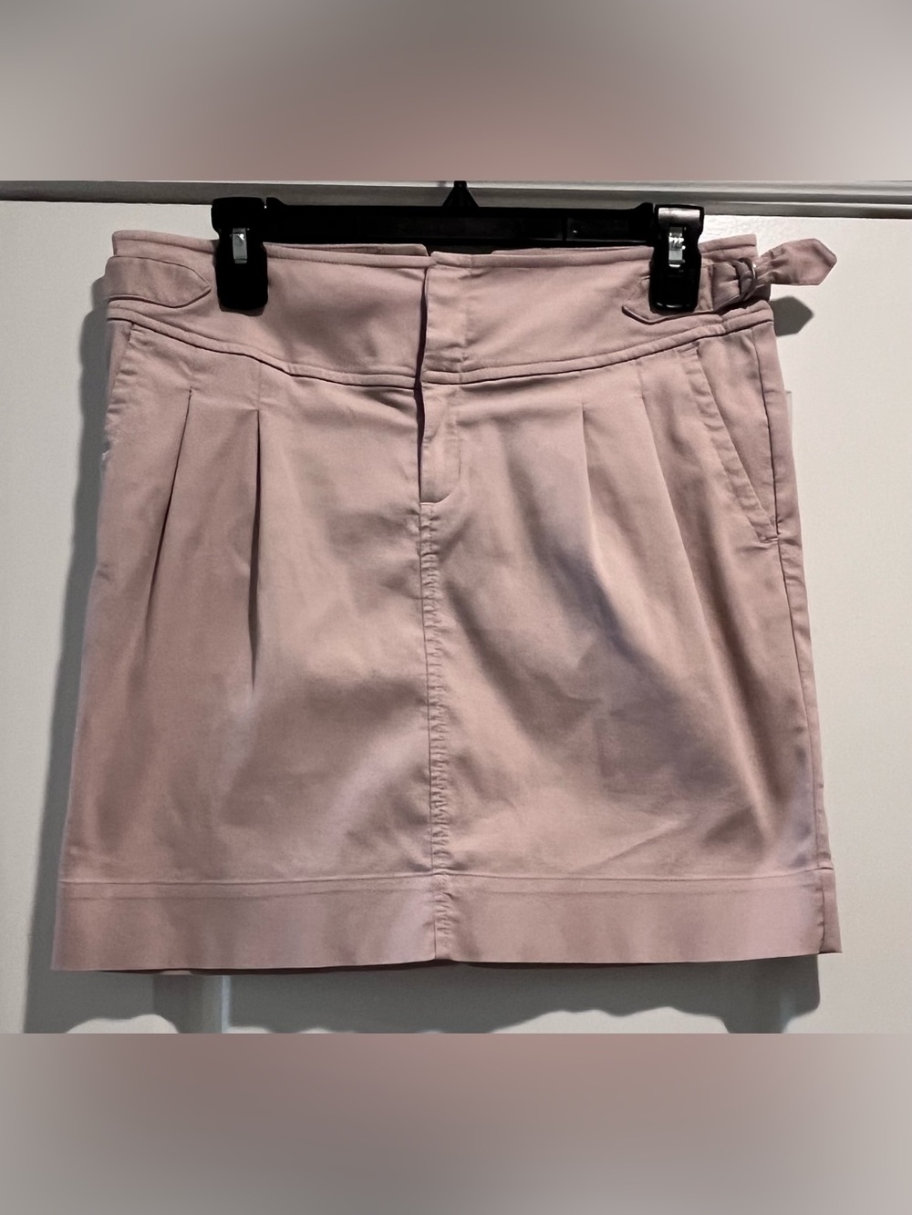 Banana Republic Blush Pink Skirt